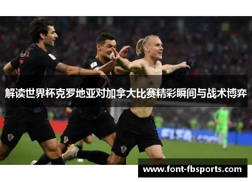 解读世界杯克罗地亚对加拿大比赛精彩瞬间与战术博弈
