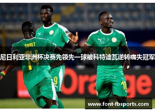 尼日利亚非洲杯决赛先领先一球被科特迪瓦逆转痛失冠军