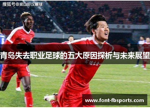 青岛失去职业足球的五大原因探析与未来展望 青岛失去职业足球的五大原因探析与未来展望